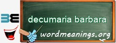 WordMeaning blackboard for decumaria barbara